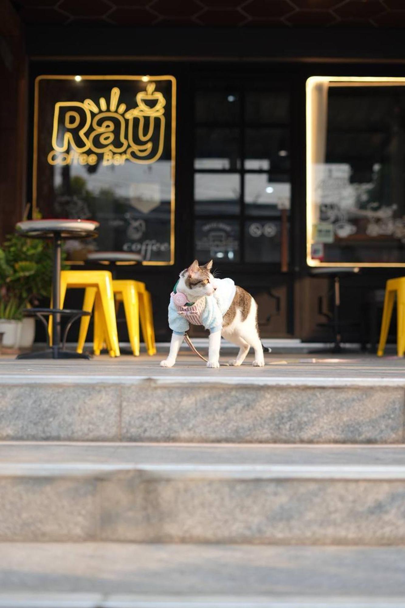 צ'יאנג מאי Ray Hostel מראה חיצוני תמונה